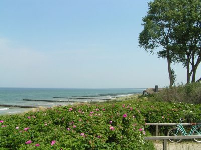 Die Ostsee bei Ahrenshoop